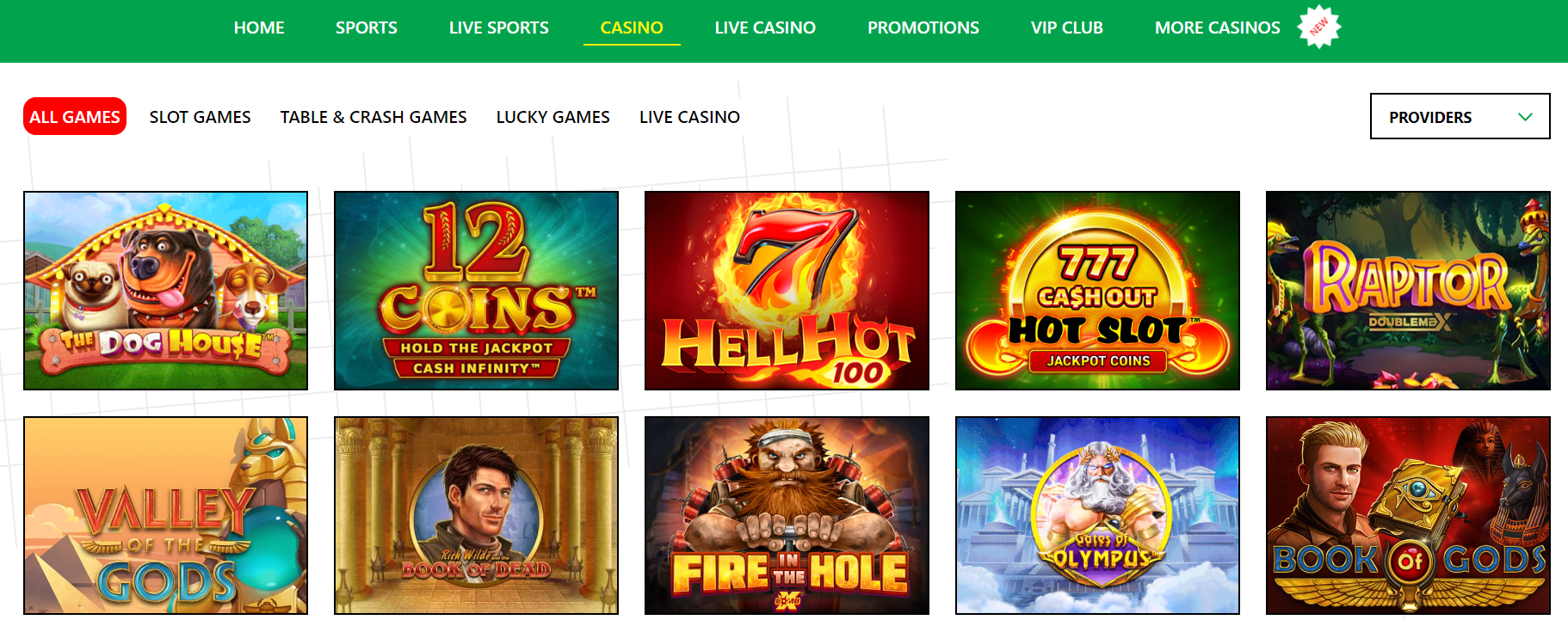 Online casino Bets Amigo